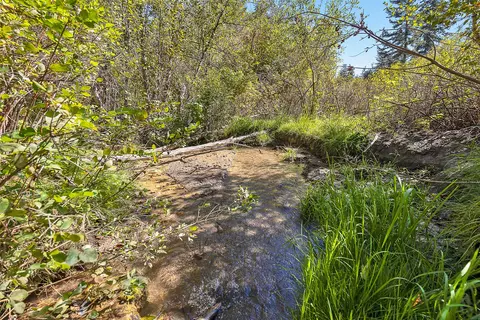 000 Mcclain Creek Mdws, Florence, MT 59833