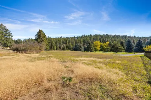 351 Chapman Ln, Bigfork, MT 59911 photo 9