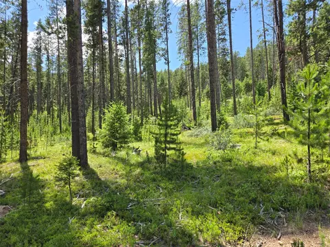 lot39 Shakopee Dr, Anaconda, MT 59711