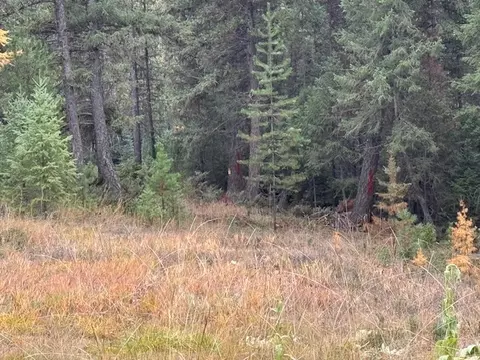 Nhn Glen Lake Road, Eureka, MT 59917