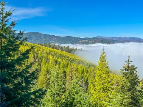 Nhn Pats Knob Road, Plains, MT 59859
