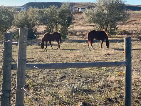 tbd Appaloosa Ln, Vaughn, MT 59487