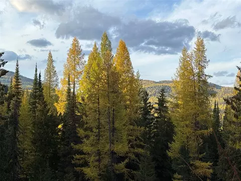 1089 Cedar Hills Rd, Trego, MT 59934