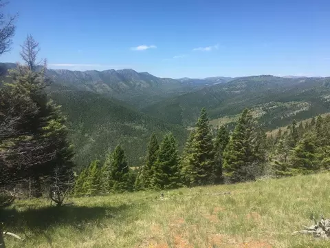tbd Bear Track Rd, Wolf Creek, MT 59648