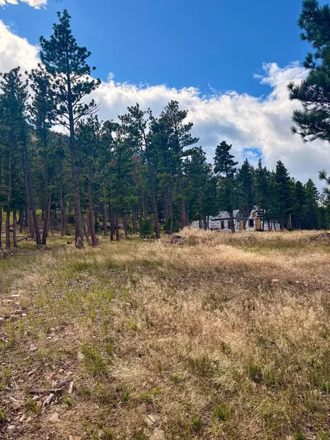 4535 Little Wolf Creek Rd, Wolf Creek, MT 59648