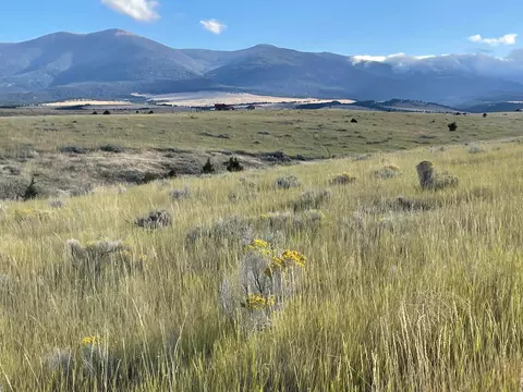 tbd S Fork Ray Creek Rd, Townsend, MT 59644 photo 6