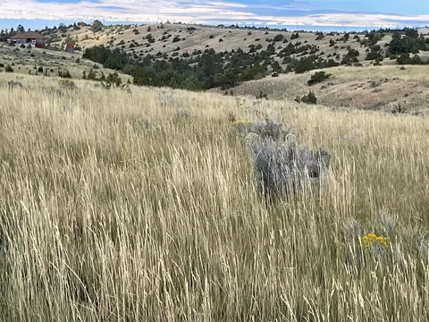 tbd S Fork Ray Creek Rd, Townsend, MT 59644 photo 9