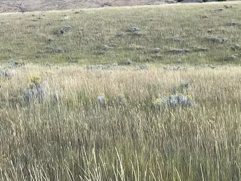 tbd S Fork Ray Creek Rd, Townsend, MT 59644 photo 10