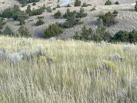tbd S Fork Ray Creek Rd, Townsend, MT 59644 photo 8