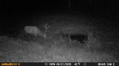 lot6 Ruby Mine Rd, Butte, MT 59701 photo 12