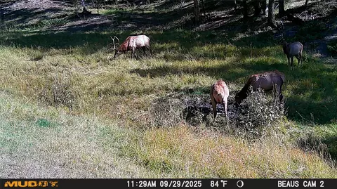lot6 Ruby Mine Rd, Butte, MT 59701 photo 16