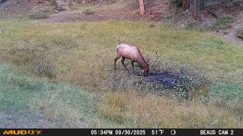 lot6 Ruby Mine Rd, Butte, MT 59701 photo 17