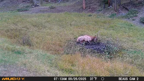 lot6 Ruby Mine Rd, Butte, MT 59701 photo 13