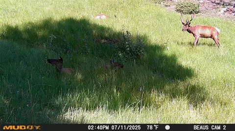 lot6 Ruby Mine Rd, Butte, MT 59701 photo 20