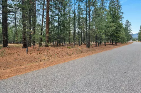 Nhn Swamp Creek Road, Plains, MT 59859