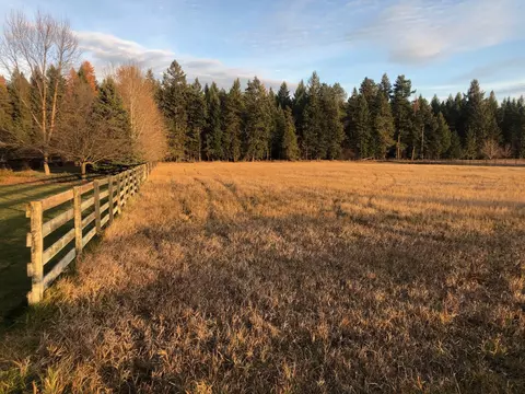 Nhn Conagher Lane, Columbia Falls, MT 59912