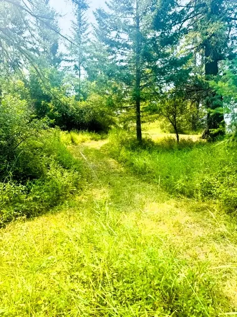 1262 Riverside Rd, Bigfork, MT 59911 photo 24