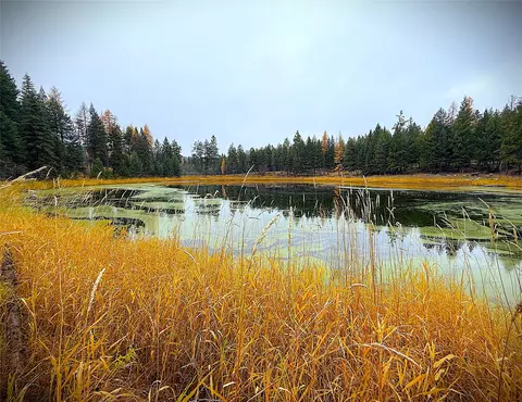 465 W Nhn W Dodge Creek Rd, Rexford, MT 59930