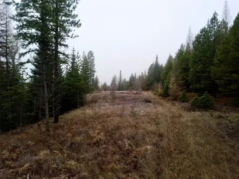 15 Shoshone Trl # A, Troy, MT 59935