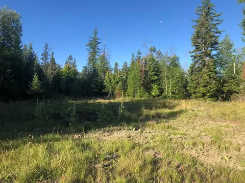 13523 Sundance Trl, Bigfork, MT 59911 photo 5