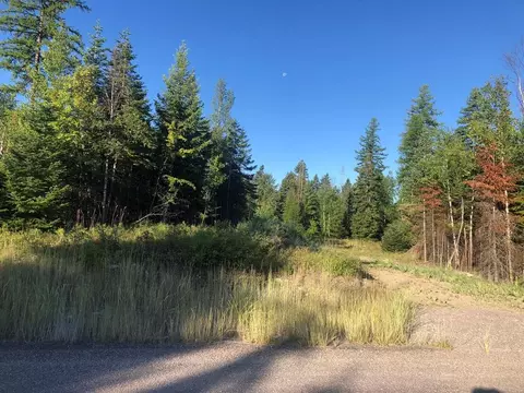 13523 Sundance Trl, Bigfork, MT 59911 photo 2