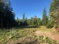 13523 Sundance Trl, Bigfork, MT 59911 photo 6