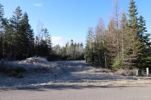 13523 Sundance Trl, Bigfork, MT 59911 photo 17