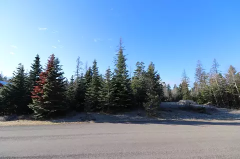 13523 Sundance Trl, Bigfork, MT 59911 photo 18