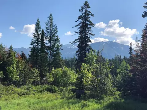 13523 Sundance Trl, Bigfork, MT 59911