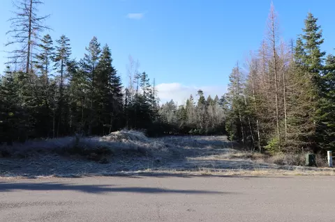 13523 Sundance Trl, Bigfork, MT 59911 photo 16