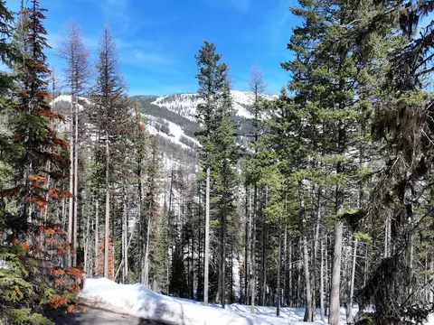 Other - 1046 Elk Camp Loop, Whitefish, MT 59937 photo 1 of 4