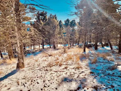 tbd Mining Claim Access, Basin, MT 59631 photo 2