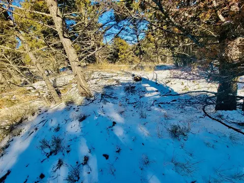 tbd Mining Claim Access, Basin, MT 59631 photo 3