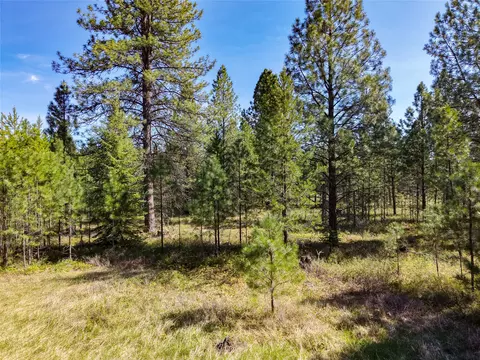 lot2 D Liberty Ln, Libby, MT 59923 photo 10