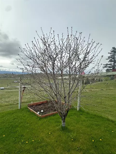 Other - 156 Bootleg Rd, Eureka, MT 59917 photo 16 of 20