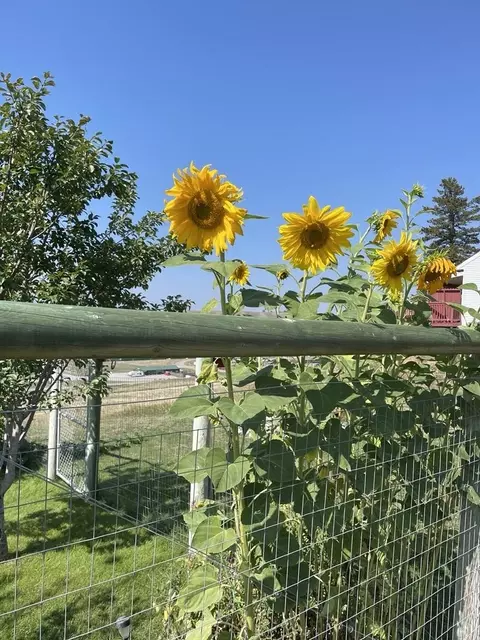 Other - 156 Bootleg Rd, Eureka, MT 59917 photo 10 of 20