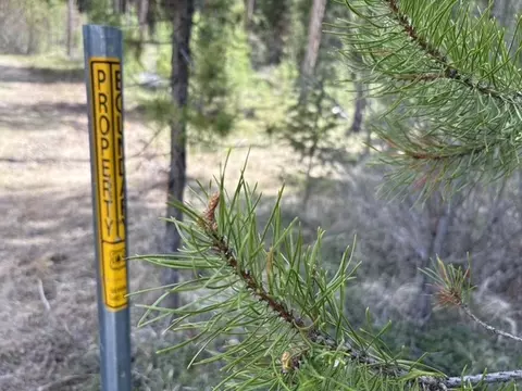 Other - 240 No Access Ln, Sula, MT 59871 photo 15 of 15