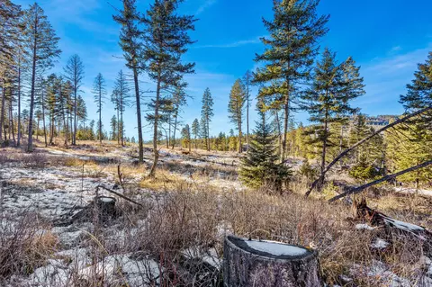 Nhn N Dayton Creek Road, Proctor, MT 59929