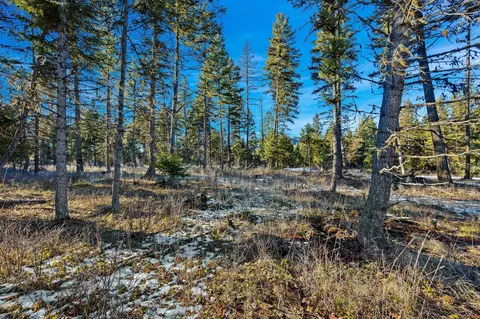 Nhn N Dayton Creek Road, Proctor, MT 59929