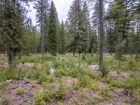 tbd Forest Rd, Troy, MT 59935