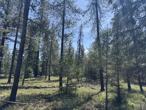 Nhn Franko Lane, Trout Creek, MT 59874