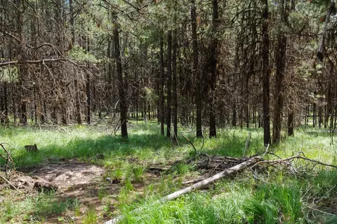 182 New Timber Ridge Trl, Marion, MT 59925