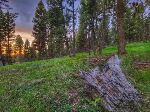 289 Seclusion Pt, Seeley Lake, MT 59868
