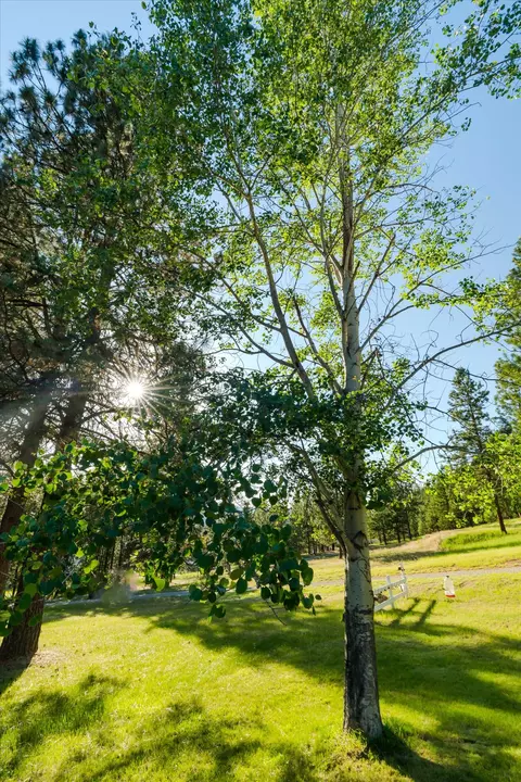 Other - 1720 River Rd, Troy, MT 59935 photo 17 of 22