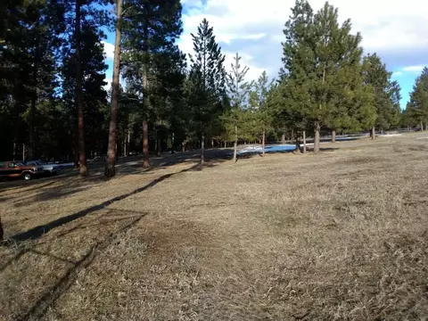 Exterior - 398 Reimel Loop, Sula, MT 59871 photo 8 of 9