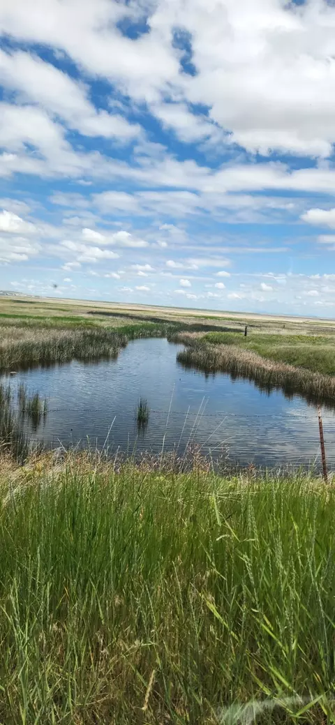 26 Sun River Cascade Road, Cascade, MT 59421 photo 30