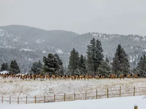 Other - 5 Alpine Valley Ln, Clancy, MT 59634 photo 51 of 60