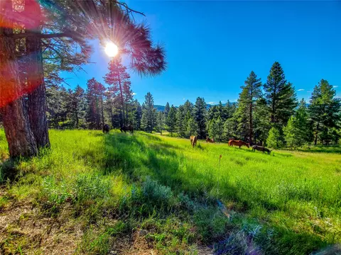 Other - 5 Alpine Valley Ln, Clancy, MT 59634 photo 55 of 60