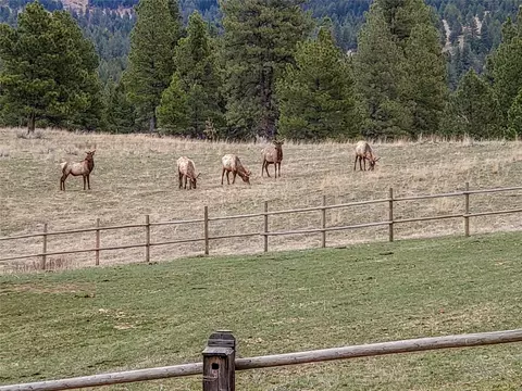 Other - 5 Alpine Valley Ln, Clancy, MT 59634 photo 56 of 60