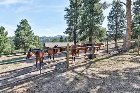 Other - 5 Alpine Valley Ln, Clancy, MT 59634 photo 27 of 60